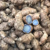 Black Turmeric Rhizome / Kari Manjal (Curcuma aeruginosa)