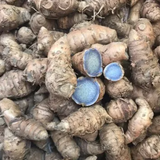 Black Turmeric Rhizome / Kari Manjal (Curcuma aeruginosa)