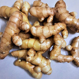 Mango Ginger / Mango Inchi Rhizome (Curcuma amada)