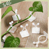 WALL PLANT CLIMBING CLIP WIDELY USED FOR HOLDING PLANTS AND POULTRY PURPOSES AND ALL