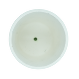 Designer Ceramic Pot (Matt Finish,Small) for Home & Indoor Plant Decor