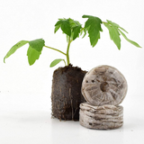 Jiffy Bag Coir Seed Germination Kit 42mm Large Pellets - Seeds Starting - Jiffy Bag Helps to Grow Seedlings | 50mm (After Expansion)