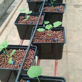 Clay Balls (LECA Balls) - (8-15 MM Size) Round