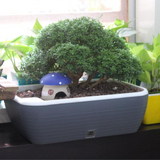 Contessa Rectangle Pot for Outdoor Indoor with Self-Watering System/Flower Pot (Home & Garden)