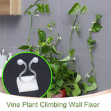 WALL PLANT CLIMBING CLIP WIDELY USED FOR HOLDING PLANTS AND POULTRY PURPOSES AND ALL
