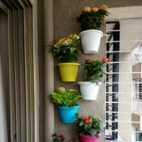 Hug A Plant |Bello Wall Planter 20CM Hanging Plastic Pot for Home & Garden Decor (20CM|8 INCH)