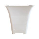 Hug A Plant | Hot Square Plastic Pot for Home & Garden (22CM | 9INCH)