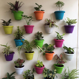 Hug A Plant |Bello Wall Planter 20CM Hanging Plastic Pot for Home & Garden Decor (20CM|8 INCH)