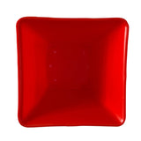 Hug A Plant | Hot Square Plastic Pot for Home & Garden (22CM | 9INCH)