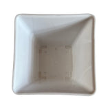 Hug A Plant | Hot Square Plastic Pot for Home & Garden (22CM | 9INCH)