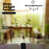 Peach Fruit (Prunus persica)- Live Fruit Plant (Home & Garden)