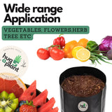 Hug A Plant | Nursery Grow (Terrace Gardening) Bag Poly Bag | Suitable for Large Big Plants |Trees |Fruit Plants |Landscaping|Bonsai |Ficus(Black,18X18 INCH)