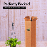 Aptenia, Baby Sun Rose Plant- Live Hanging Plant With Pot (Home & Garden)