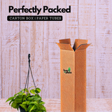 Philodendron Oxycardium Brasil With Hanging Pot (Home & Garden)