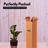 Zamioculcas zamiifolia ƒ??Zenziƒ?? Dwarf ZZ Plant- Live Plant (With Self-Watering Pot & Plant)