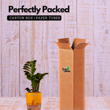 Zamioculcas zamiifolia ƒ??Zenziƒ?? Dwarf ZZ Plant- Live Plant (With Self-Watering Pot & Plant)