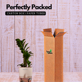 Zamioculcas zamiifolia ƒ??Zenziƒ?? Dwarf ZZ Plant- Live Plant (With Self-Watering Pot & Plant)