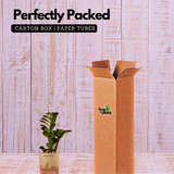 Zamioculcas zamiifolia ƒ??Zenziƒ?? Dwarf ZZ Plant- Live Plant (With Self-Watering Pot & Plant)