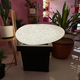 Hug A Plant | LED Pebble for Home & Garden Decor (Medium, White Stone Finish, Pack of 1)