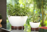 Ara 16 Plastic Pot With Smart Tray