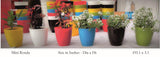 Mini Ronda Plastic Pot