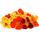 Nasturtium Alaska Mix Blossoms Seed (25 Seeds) (Home & Garden)