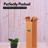 Cremnosedum ƒ??Little Gemƒ?? - Live Succulent Plant (Home & Garden)