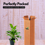 Peace Lily (Spathiphyllum) Flowering/Ornamental Live Plant In Pot (Home & Garden)