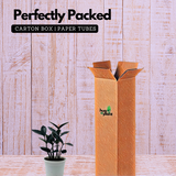 Zamioculcas Raven / Black ZZ Plant (Zamioculcas zamiifolia) - Live Plant For Indoor (Home & Garden)