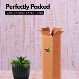 Lakshmi Kamal | Laxmi Kamal | sempervivum tectorum - Live Plant (Home & Garden)