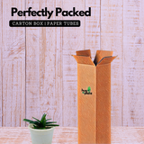 Aloe Black Gem (Alworthia 'Black Gem')- Live Succulent Plant (Home & Garden)