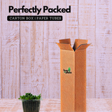 String of Tears / Curio Herreianus- Live Succulent Plant (Home & Garden)