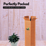 Haworthia Limifolia - Live Succulent Plant in 12cm Pot (Home & Garden)