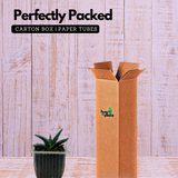 Gasteria Obliqua | Gasteria Bicolor Succulent Plant - Live Plant (Home & Garden)