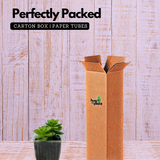 Echeveria Elegans Plant- Live Succulent Plant (Home & Garden)