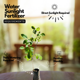 Aparajita / Shankupushpam / Butterfly pea (Clitoria ternatea) Flowering/Ornamental/Medicinal/ Live Plant (Home & Garden)