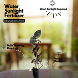 Murikootti | Muriyan Pacha | Red-Flame Ivy (Hemigraphis colorata) Ornamental/Medicinal Live Plant (Home & Garden)