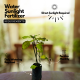 Red Leadwort / Chuvanna koduveli / Chethi koduveli (Plumbago Indica) Flowering/Ornamental/Medicinal Live Plant (Home & Garden)