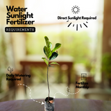 Thenvarikka Jackfruit (artocarpus heterophyllus) Fruit Live Plant (Home & Garden)