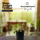 Koval Stem / Ivy Gourd (Coccinia grandis) Fruit/Ornamental Live Plant (Home & Garden)