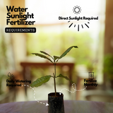 Sand paper Vine / Purple Wreath (Petrea Volubilis) Wine Creeper Flowering/Ornamental Live Plant (Home & Garden)