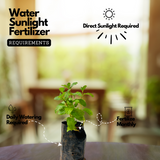 Pudina / Common Mint (Mentha spicata) Ornamental/Medicinal Live Plant (Home & Garden)