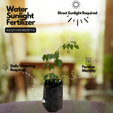 Neelamari | The Indigo Plant (Indigofera Tinctoria) Flowering/Ornamental/Medicinal Live Plant (Home & Garden)