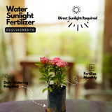 Pink Ixora / Pink Chethi (Ixora coccinea) Flowering/Ornamental Live Plant (Home & Garden)