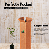 Ganapathi Lemon / Ganapathi Narakam / Kottanaranga / Wild Lemon (Citrus Medica) Fruit/Ornamental/Medicinal Live Plant (Home & Garden)