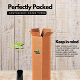 Kanikonna / Golden Shower (Cassia fistula) Flowering/Ornamental Live Plant (Home & Garden)