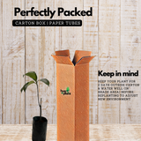 Cempedak | Chempedak ( Artocarpus Integer ) Fruit Live Plant (Home & Garden)