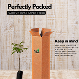 Sweet Ambazham / Ambarella (Grafted) (Spondias mombin) Fruit Live Plant (Home & Garden)