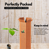 Teak Wood Plant / Sagwan (Tectona grandis) Ornamental Live Plant (Home & Garden)