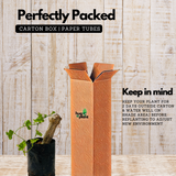 Koval Stem / Ivy Gourd (Coccinia grandis) Fruit/Ornamental Live Plant (Home & Garden)